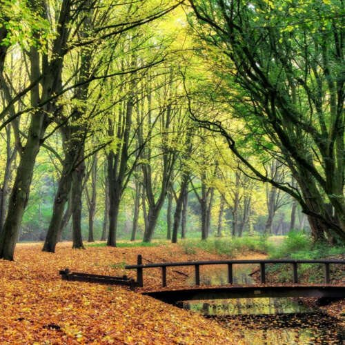 Foto #6 Appartement Marne Amstelveen