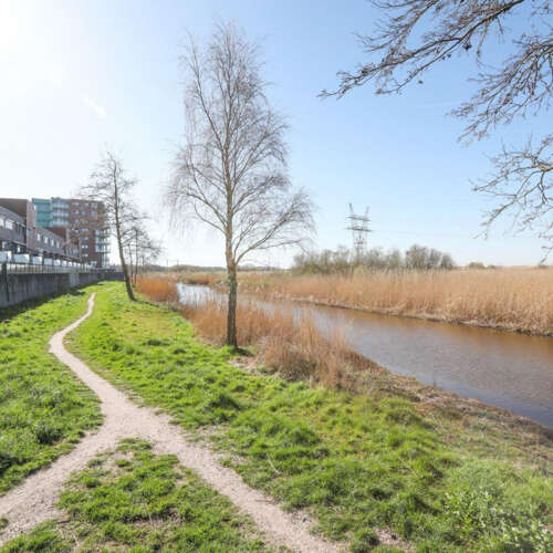 Foto #37 Huurwoning Amazonelaan Purmerend