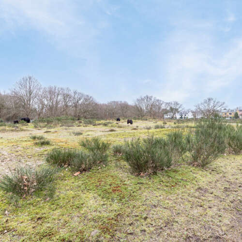 Foto #56 Appartement De Savornin Lohmanlaan Den Haag