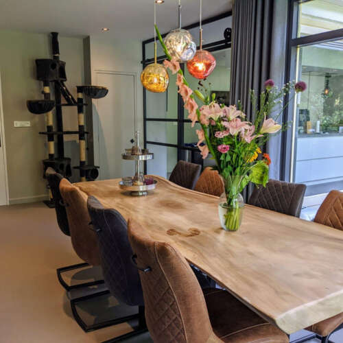 Foto #16 Huurwoning Jupiterlaan Dongen