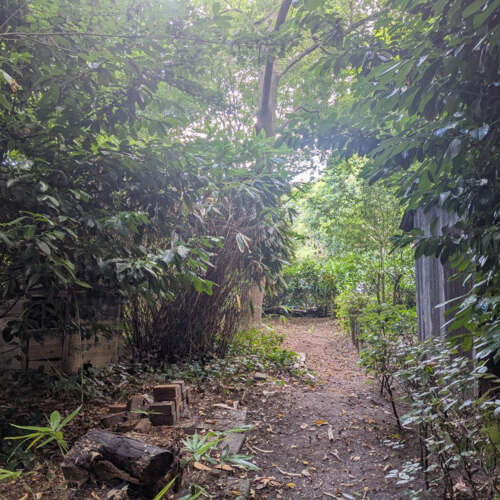 Foto #43 Huurwoning Jupiterlaan Dongen