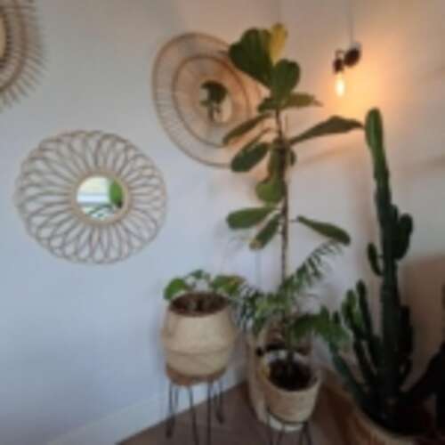 Foto #6 Huurwoning Johan van Oldenbarneveltlaan Zeist