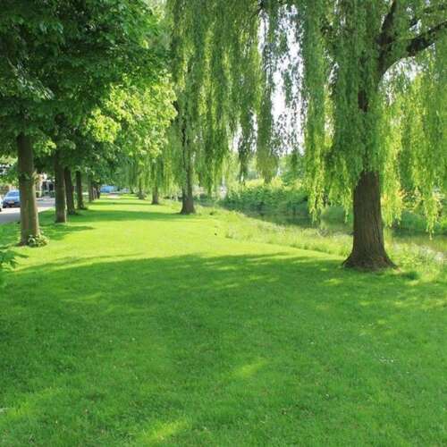 Foto #26 Huurwoning Leopoldlaan Uithoorn