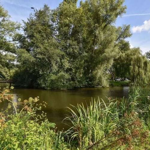 Foto #19 Appartement Dintelstraat Amsterdam