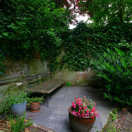 Foto #38 Huurwoning Obrechtstraat Den Haag