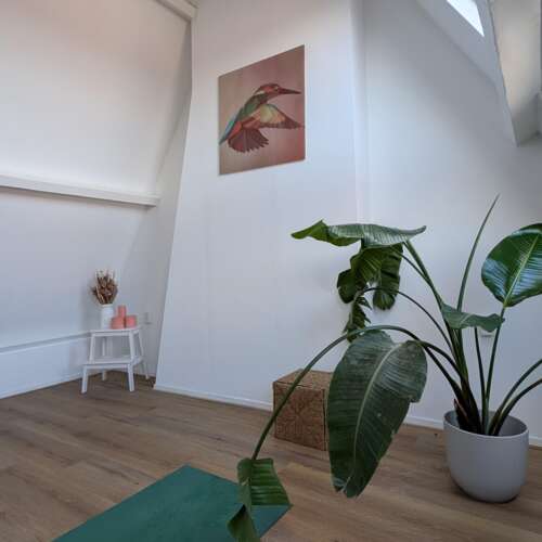 Foto #44 Huurwoning Sportlaan Den Haag