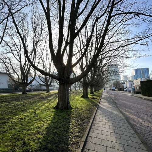 Foto #27 Huurwoning Minervalaan Amsterdam