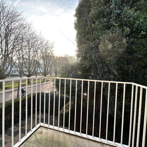 Foto #14 Huurwoning Minervalaan Amsterdam