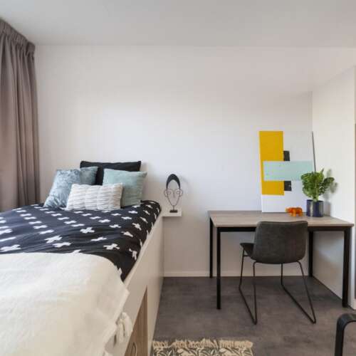 Foto #6 Studio Limapad Utrecht