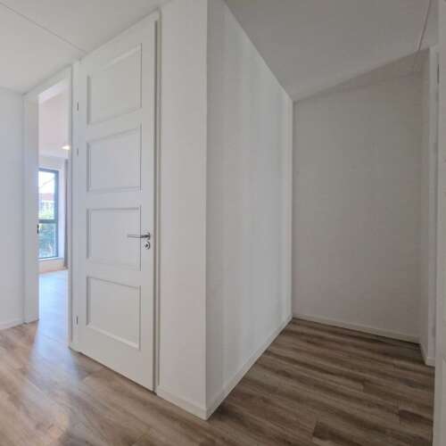 Foto #11 Appartement Philips Willemstraat Rotterdam