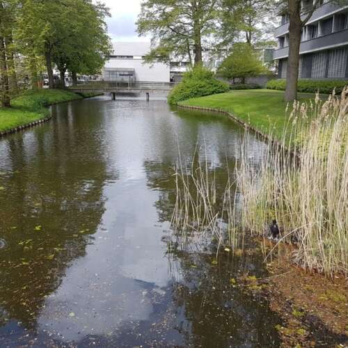 Foto #27 Appartement Kamerlingh Onnesstraat Amstelveen