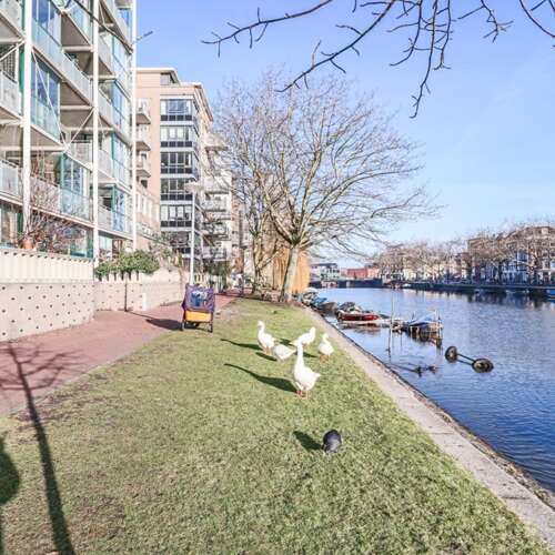 Foto #24 Appartement Alexanderkade Amsterdam