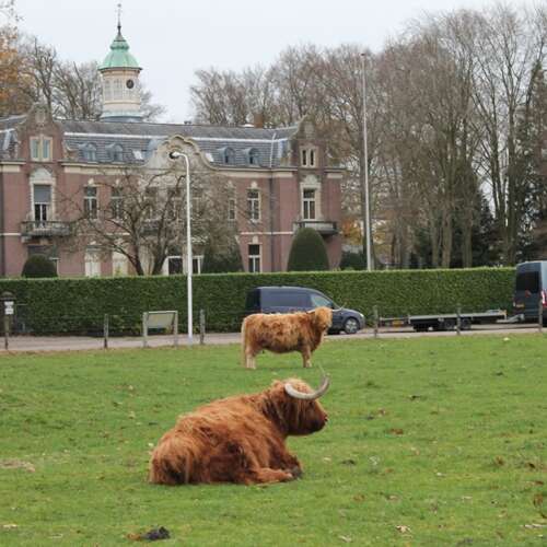 Foto #32 Huurwoning Gaslaan Baarn