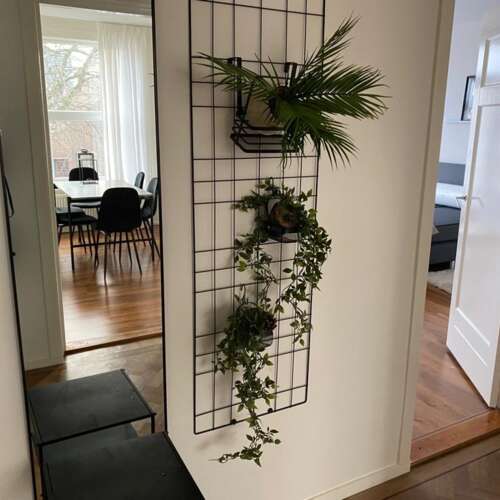 Foto #16 Appartement 2e Sweelinckstraat Den Haag