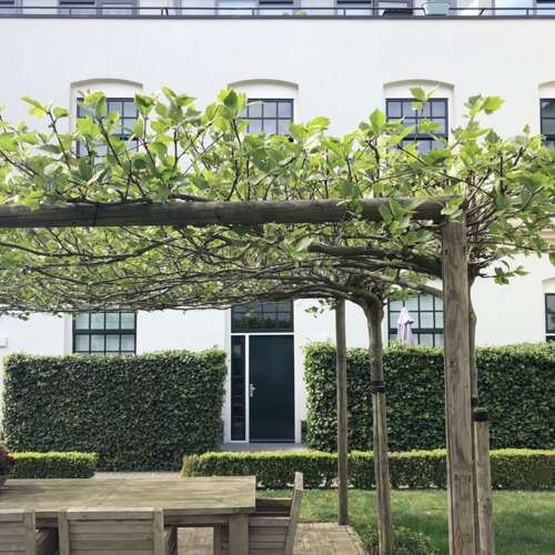 Foto #24 Appartement Clarissenstraat Brielle