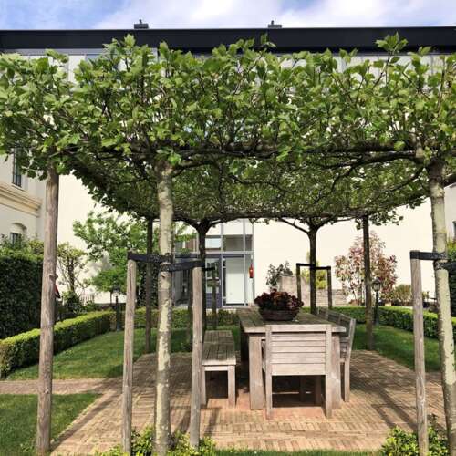 Foto #23 Appartement Clarissenstraat Brielle