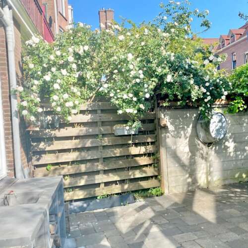 Foto #13 Appartement Suezkade Den Haag