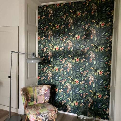 Foto #5 Huurwoning Van Oldenbarneveltstraat Nijmegen