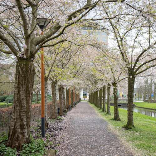 Foto #47 Appartement Handelsweg Amstelveen