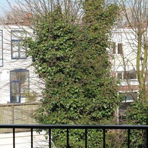 Foto #7 Kamer Van Boetzelaerlaan Den Haag