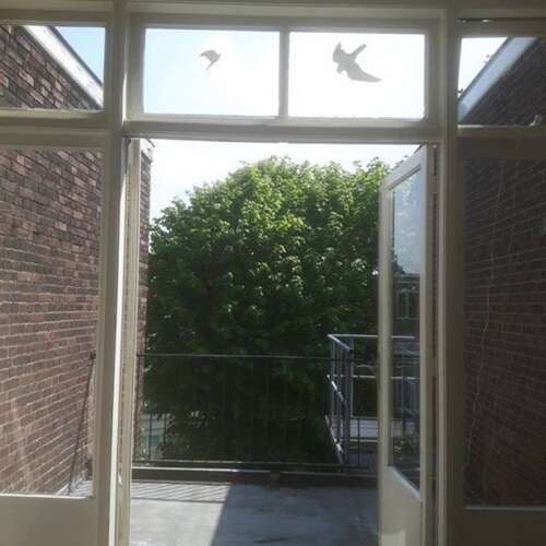 Foto #6 Kamer Van Boetzelaerlaan Den Haag