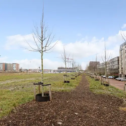 Foto #30 Huurwoning Laan van Braat Delft