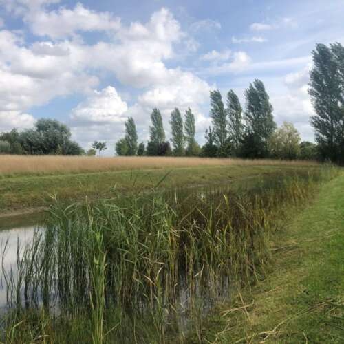 Foto #5 Huurwoning Spui Axel