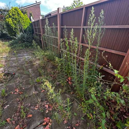 Foto #18 Appartement Europalaan-Centrum Herkenbosch