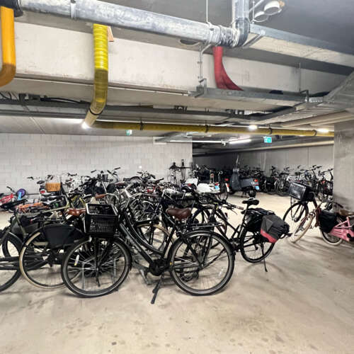 Foto #17 Appartement Zanglijsterstraat Rotterdam