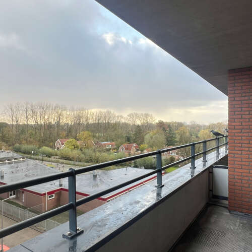 Foto #5 Appartement Zanglijsterstraat Rotterdam