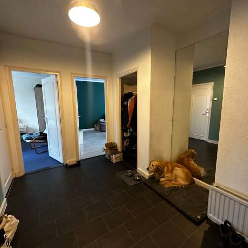 Foto #8 Appartement Dries Weert
