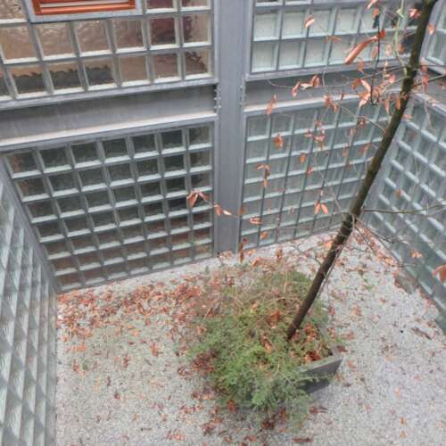 Foto #8 Appartement Biesterweg Eindhoven