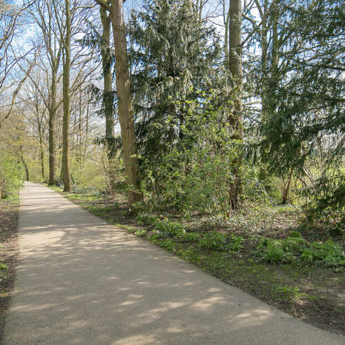 Foto #40 Appartement Julianalaan Schiedam