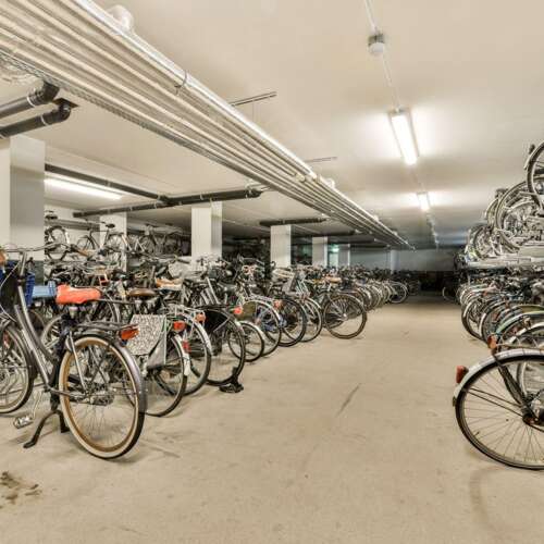 Foto #17 Studio Bos en Lommerplantsoen Amsterdam