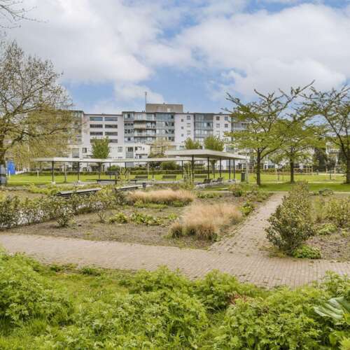 Foto #14 Studio Bos en Lommerplantsoen Amsterdam