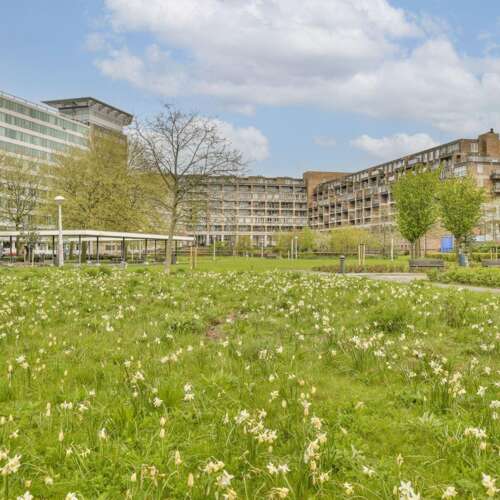 Foto #15 Studio Bos en Lommerplantsoen Amsterdam