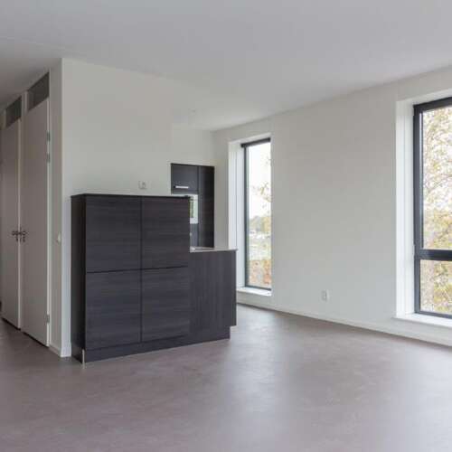 Foto #5 Appartement Pisanostraat Eindhoven