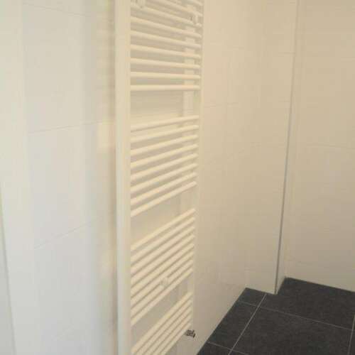 Foto #9 Appartement Boekhorststraat Den Haag