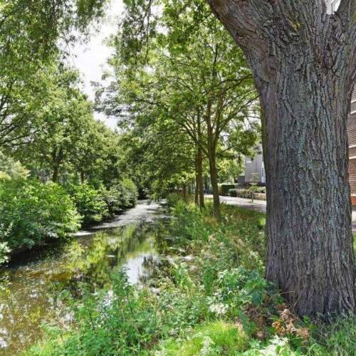 Foto #18 Huurwoning Oude Haagweg Den Haag