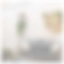 Foto #31 Huurwoning Drapenierstraat Haarlem