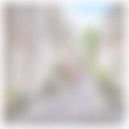 Foto #33 Huurwoning Drapenierstraat Haarlem