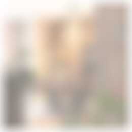 Foto #7 Huurwoning Drapenierstraat Haarlem