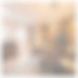 Foto #8 Huurwoning Drapenierstraat Haarlem