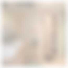 Foto #27 Huurwoning Drapenierstraat Haarlem