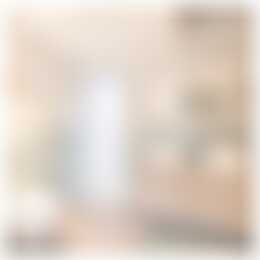 Foto #26 Huurwoning Drapenierstraat Haarlem