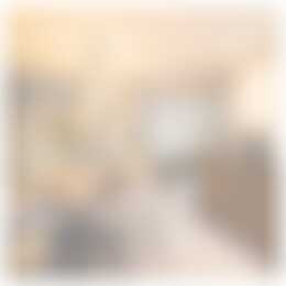 Foto #11 Huurwoning Drapenierstraat Haarlem