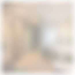 Foto #29 Huurwoning Drapenierstraat Haarlem