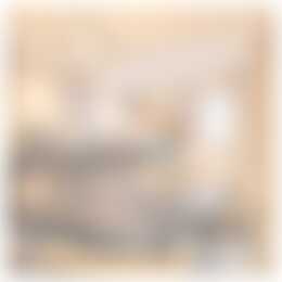 Foto #9 Huurwoning Drapenierstraat Haarlem