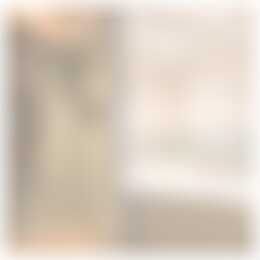 Foto #28 Huurwoning Drapenierstraat Haarlem