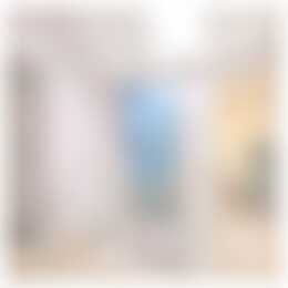 Foto #17 Huurwoning Drapenierstraat Haarlem